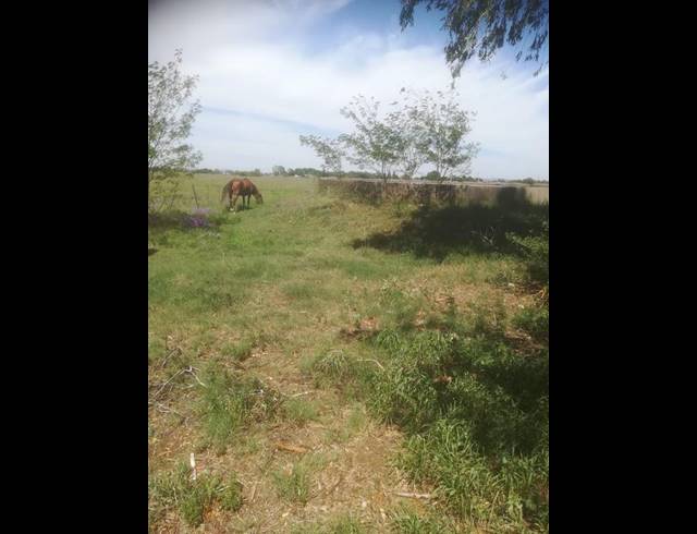 FARM FOR SALE IN ROODIA